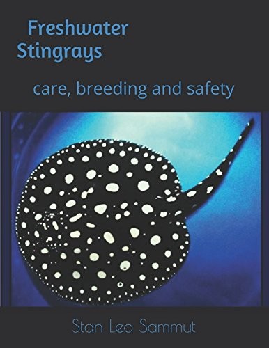 Freshwater stingrays care - stingrays,