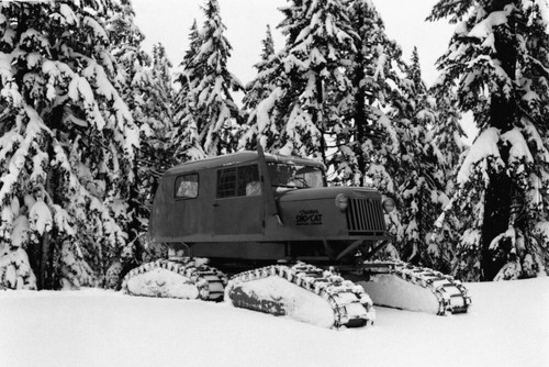 Snow cat vintage photo poster - vintage,