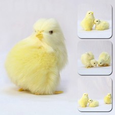Plush Fluffy Artificial