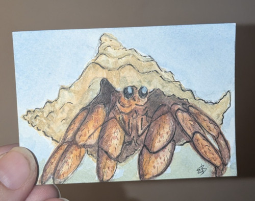 Aceo art card original hermit - art,