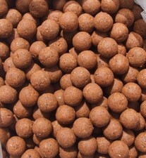 shelf life boilies