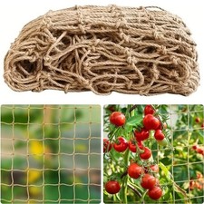 Jute twine plant - jute,