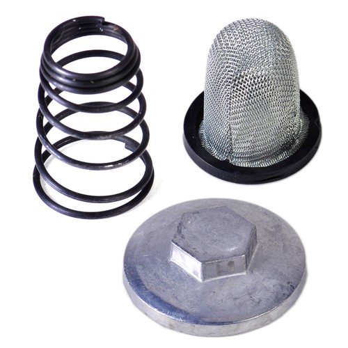 Scooter oil filter - oil,