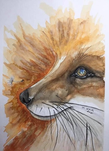 Watercolour painting fox - fox,