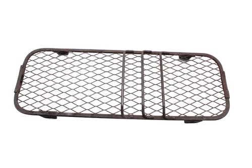 Radiator guard grille