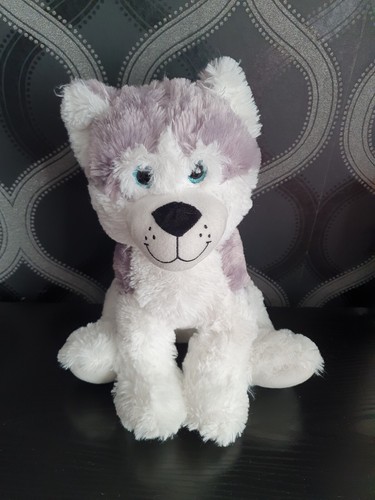 Paws collection sitting husky - collection,
