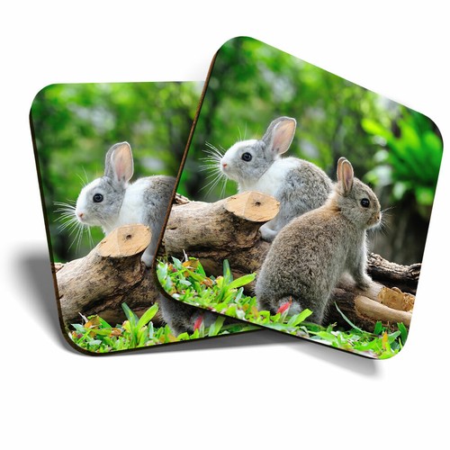 Coasters cute grey bunny - x,