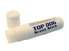 Gundog Dog Training Animal