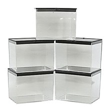 Spiderling Rearing Boxes Push On Lid Ideal for Tarantula Slings & Jumping Spider