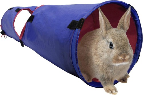 Pet tunnel for rabbits - for,