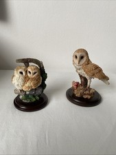 2 Country Artist Barn Owl