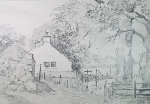 Original pencil drawing - original,