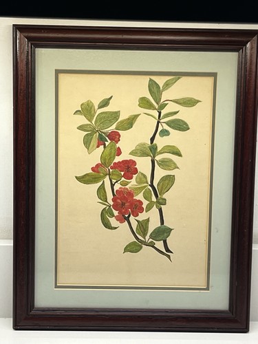 Vintage framed mounted glazed - vintage,