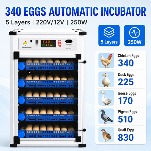 340 egg incubator automatic - egg,