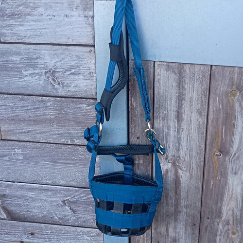 Blue grazing muzzle pony - grazing, size