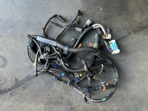 Full engine wiring loom - engine,