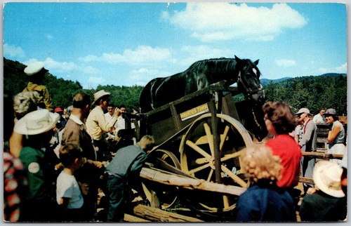 Adirondacks new york frontier - adirondacks,