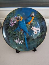 Blue & Gold Macaws Wedgewood