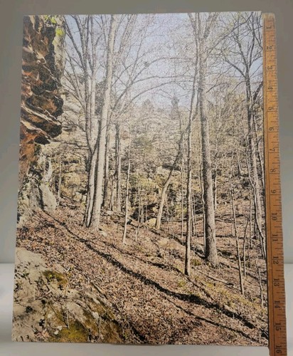 Canvas wall art gog shawnee - art,