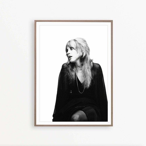 Stevie nicks music star - stevie,