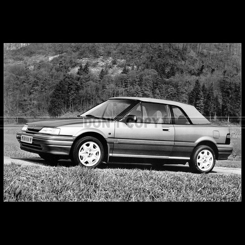 Photo 036489 rover - photo, 216
