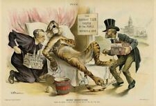 TAMMANY TIGER DEAD EXECUTED