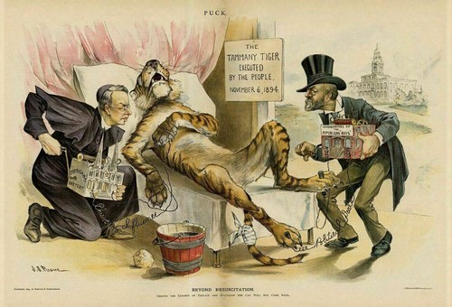 Tammany tiger dead executed - tammany,