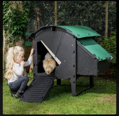Nestera chicken coop medium - chicken,