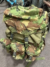 DPM Tailored Bergan Short