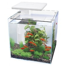 Superfish Qubiq Aquarium Nano
