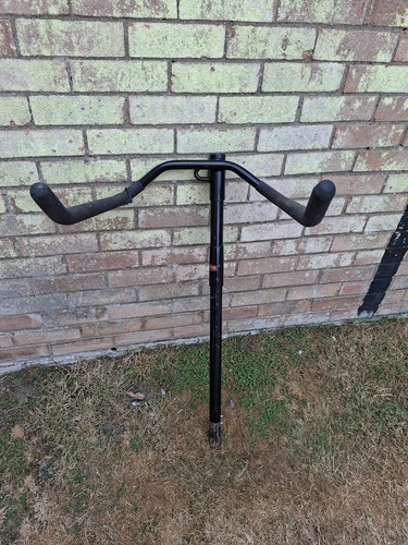 Witter cow horn cycle - cow,