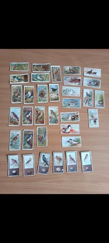 Vintage cigarette cards - 34,