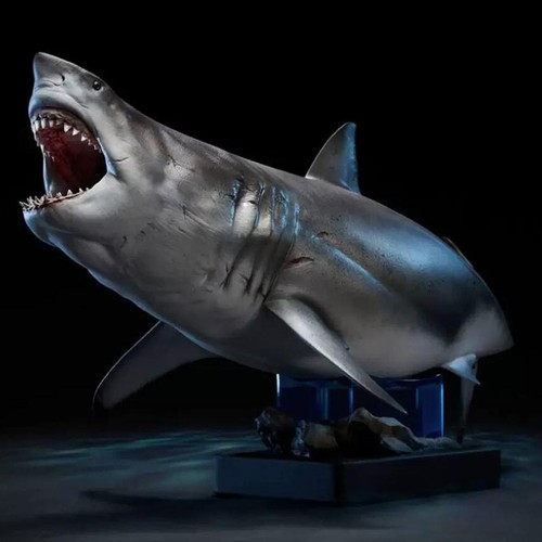Dragon shark carcharocles - shark,