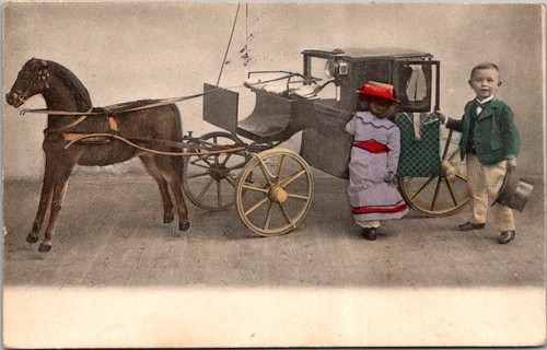 Children with miniature horse - with,