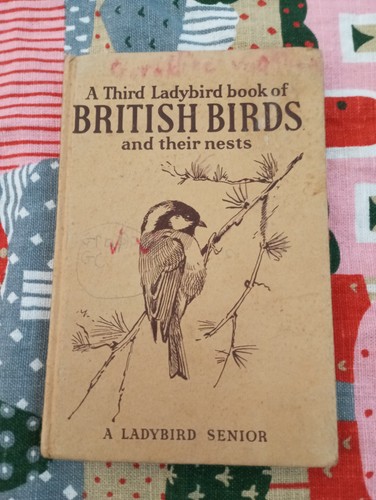 Vintage third ladybird - vintage,