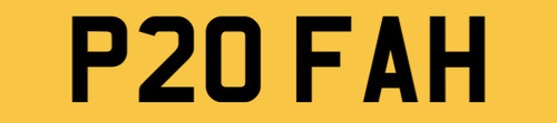 Plonker reg number plate p20 - plonker,