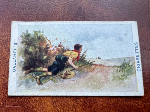 Gallaher cigarette card - cigarette,