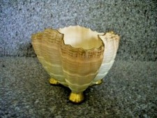 Antique English Porcelain