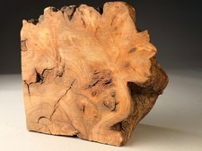 Burr Elm Live Edge turning