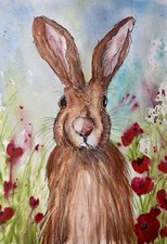 Grandma Hare : She Never