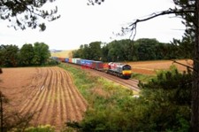 PHOTO  CLASS 66 66303 LUNAN BAY EX FASTLINE LOCO 66303 IS FRAMED BY THE TREES AT
