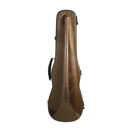 Carbon fiber violin case two - violin,