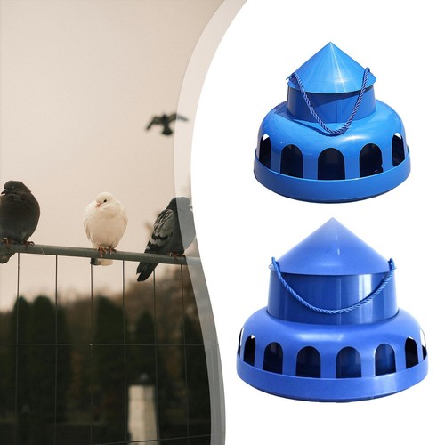 Pigeon feeder food dispenser - feeder,