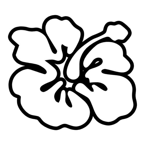 Large hibiscus flower - large,