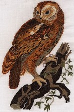 Tawny Owl counted cross stitch