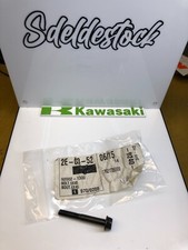 1 bolt 6x45 kawasaki