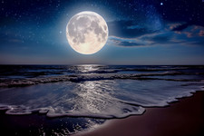 Moon over Sea Beach Canvas