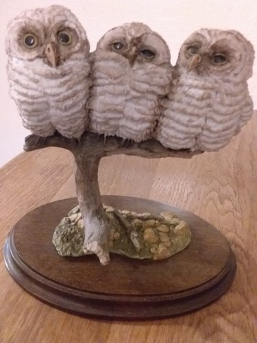 Country artists trio - artists, owl