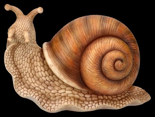 Garden figure snail - garden,