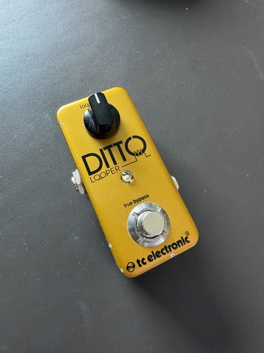 Electronic ditto looper - ditto,
